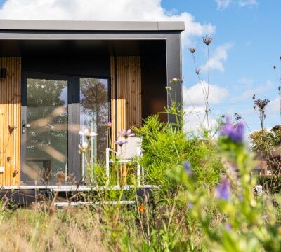 Image for choice number 4